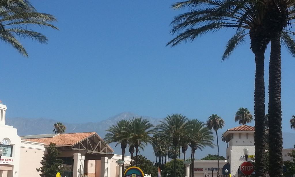 california mountain view from the local farmers market