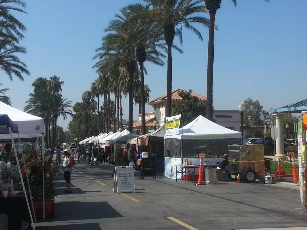 visiting the local farmers market