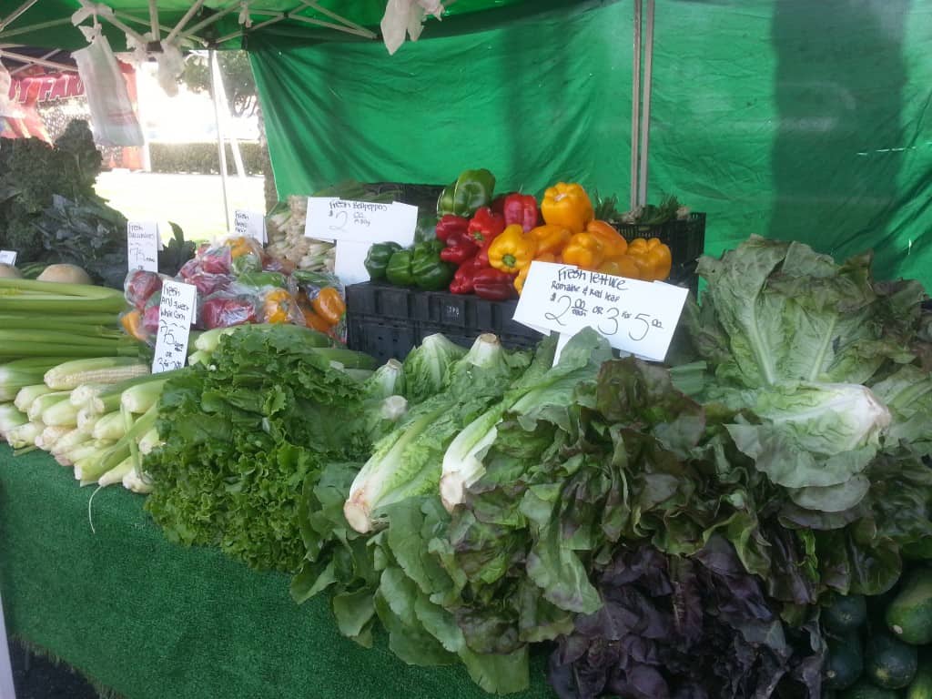 organic vegetables at the local farmers market