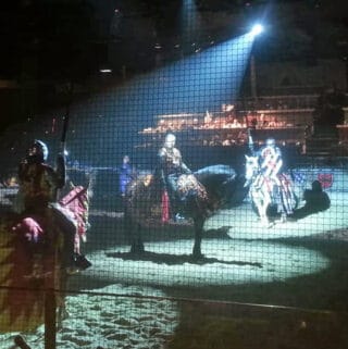 family fun visiting medieval times in Buena Park