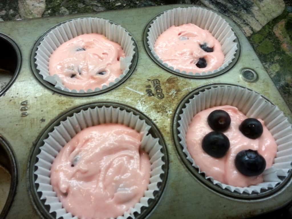 blueberries in cupcakes