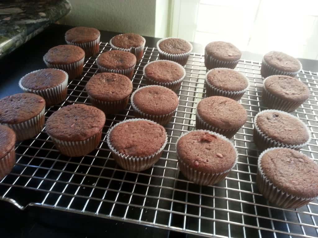 cupcakes on rack