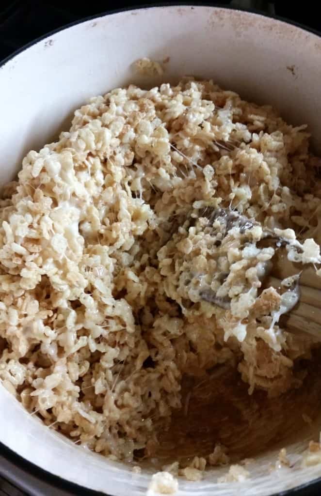 rice crispy 