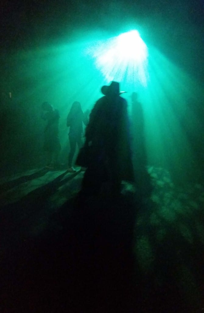 knott's scary farm