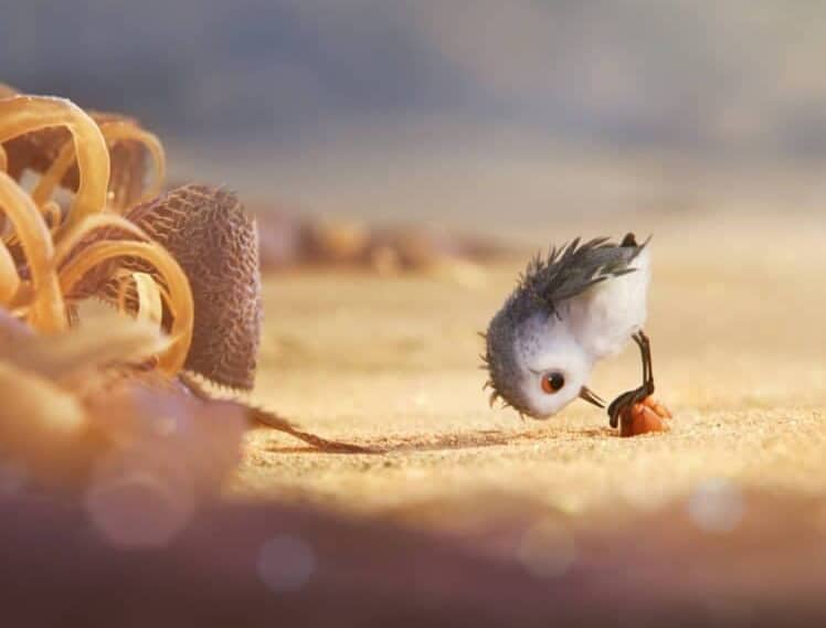 Sneak Peek at Piper, Pixar’s New Short Debuting with Finding Dory