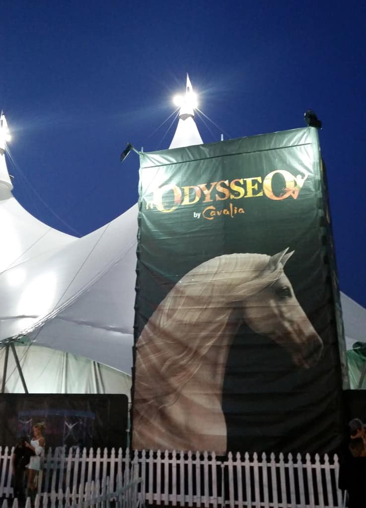 odysseo by cavalia