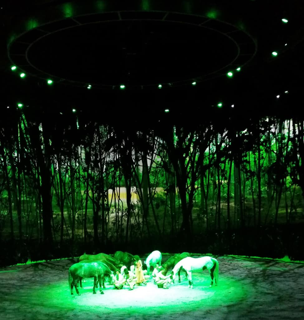 odysseo by cavalia