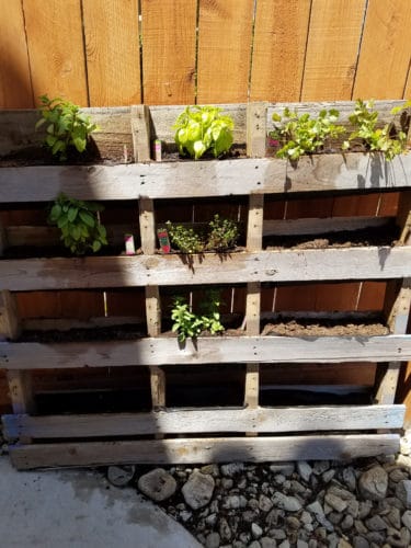 how to build a pallet garden