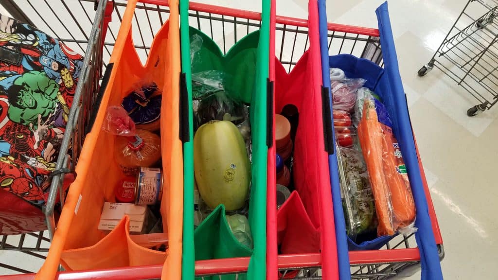 grocery shopping with Trolley Bags