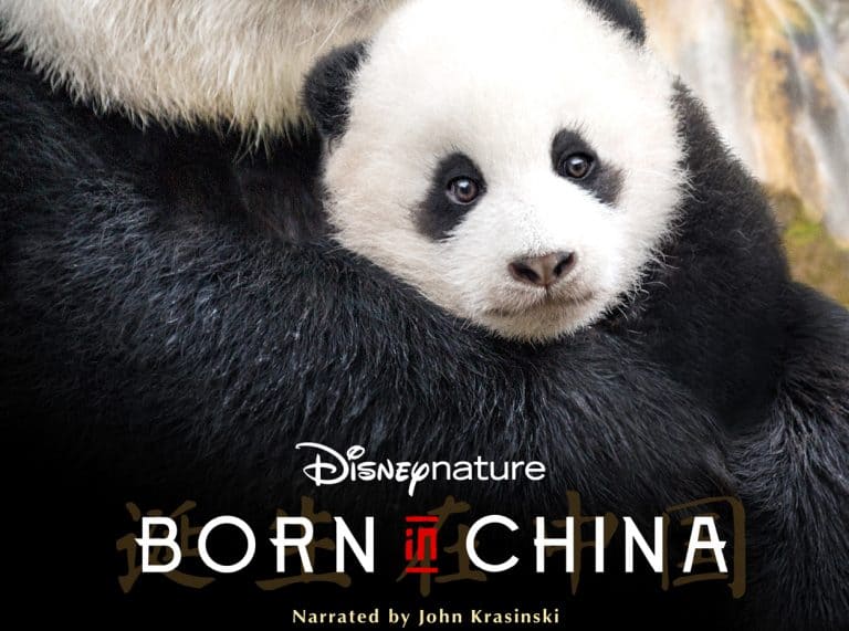 The Latest by Disneynature: Born in China, Opening on Earth Day
