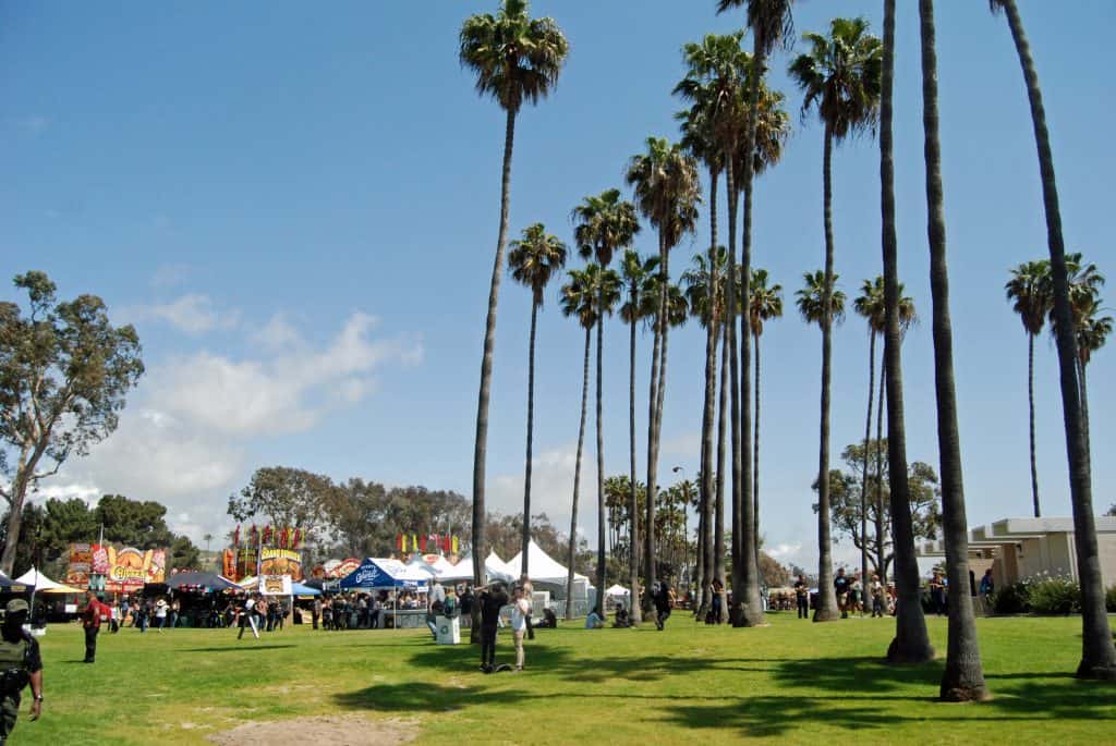 music festival in dana point