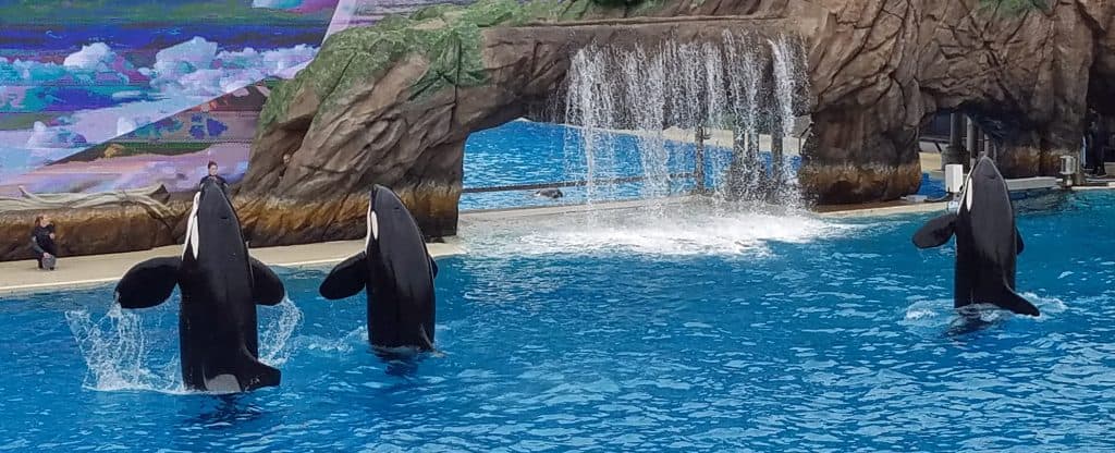 explore sea world