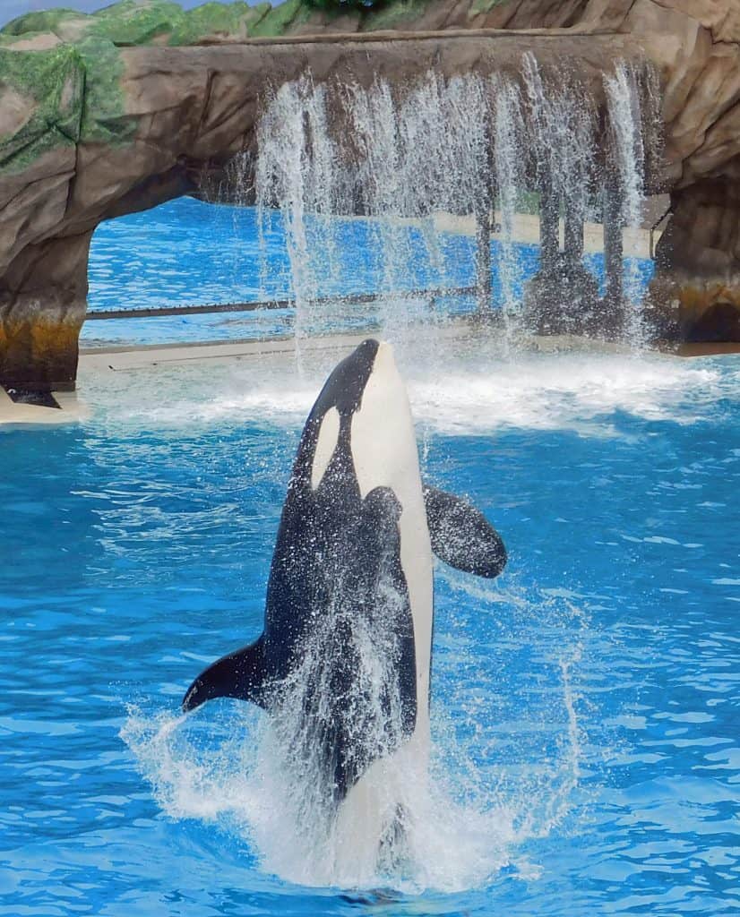 explore sea world