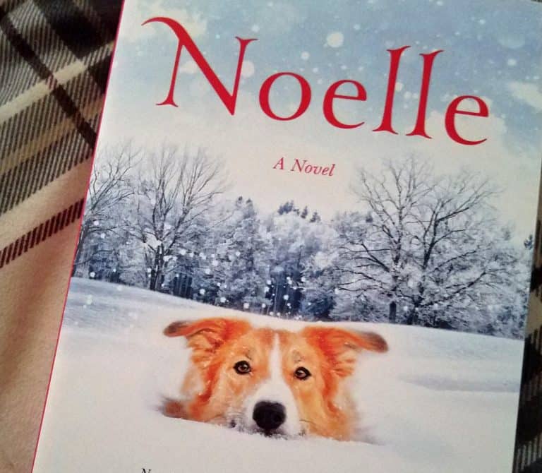 Noelle by Greg Kincaid: A Christmas Book Giveaway