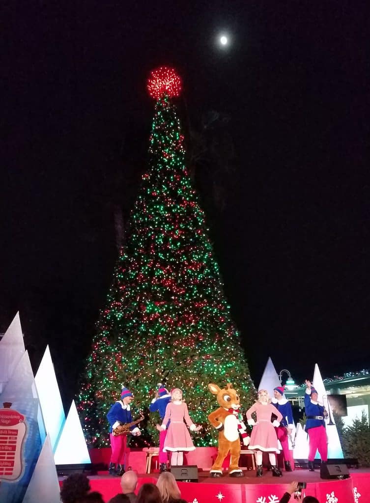 christmas at sea world