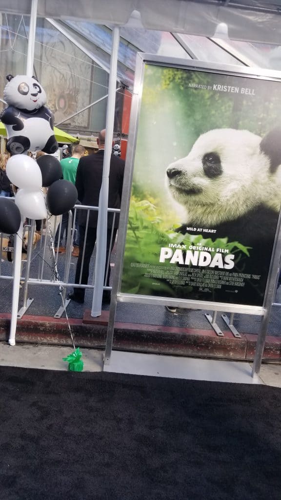 IMAX Movie Pandas