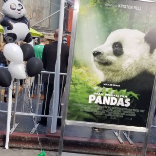 IMAX Movie Pandas