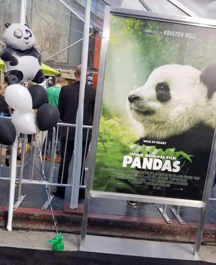 The New Warner Bros and IMAX Movie Pandas, Narrated by Kristen Bell