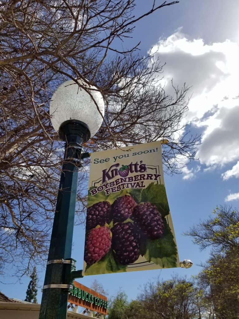 boysenberry food