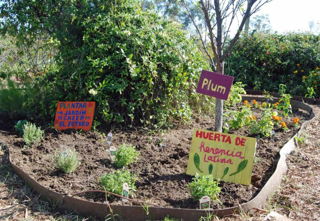 fiesta de la huerta