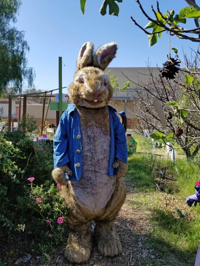 peter rabbit