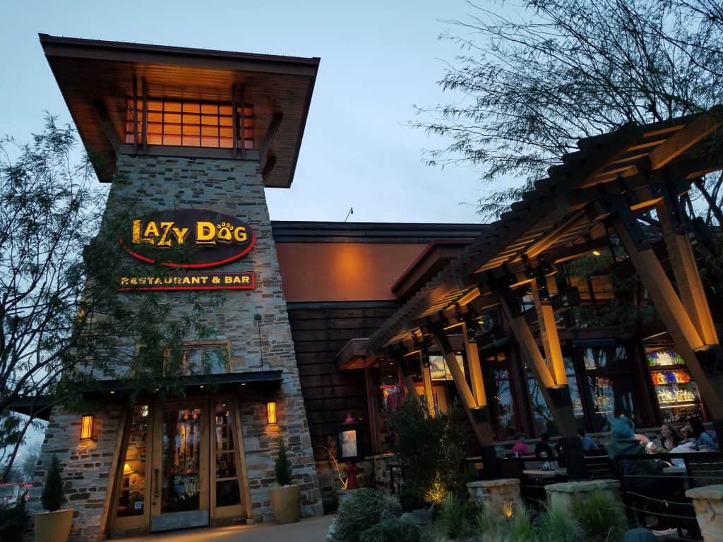 lazy dog spring menu