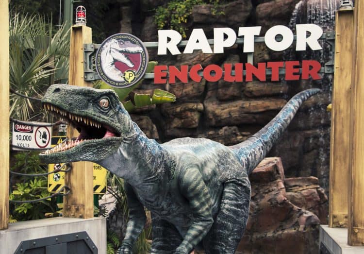 raptor encounter