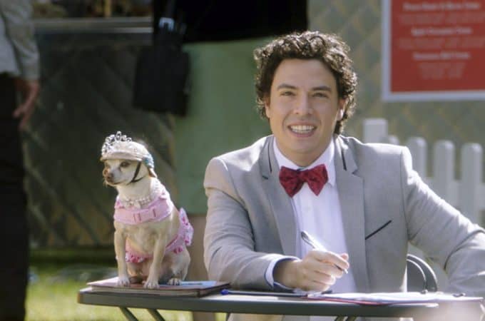 dog days review