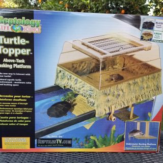 turtle topper
