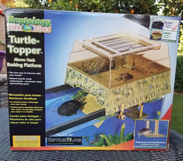 turtle topper