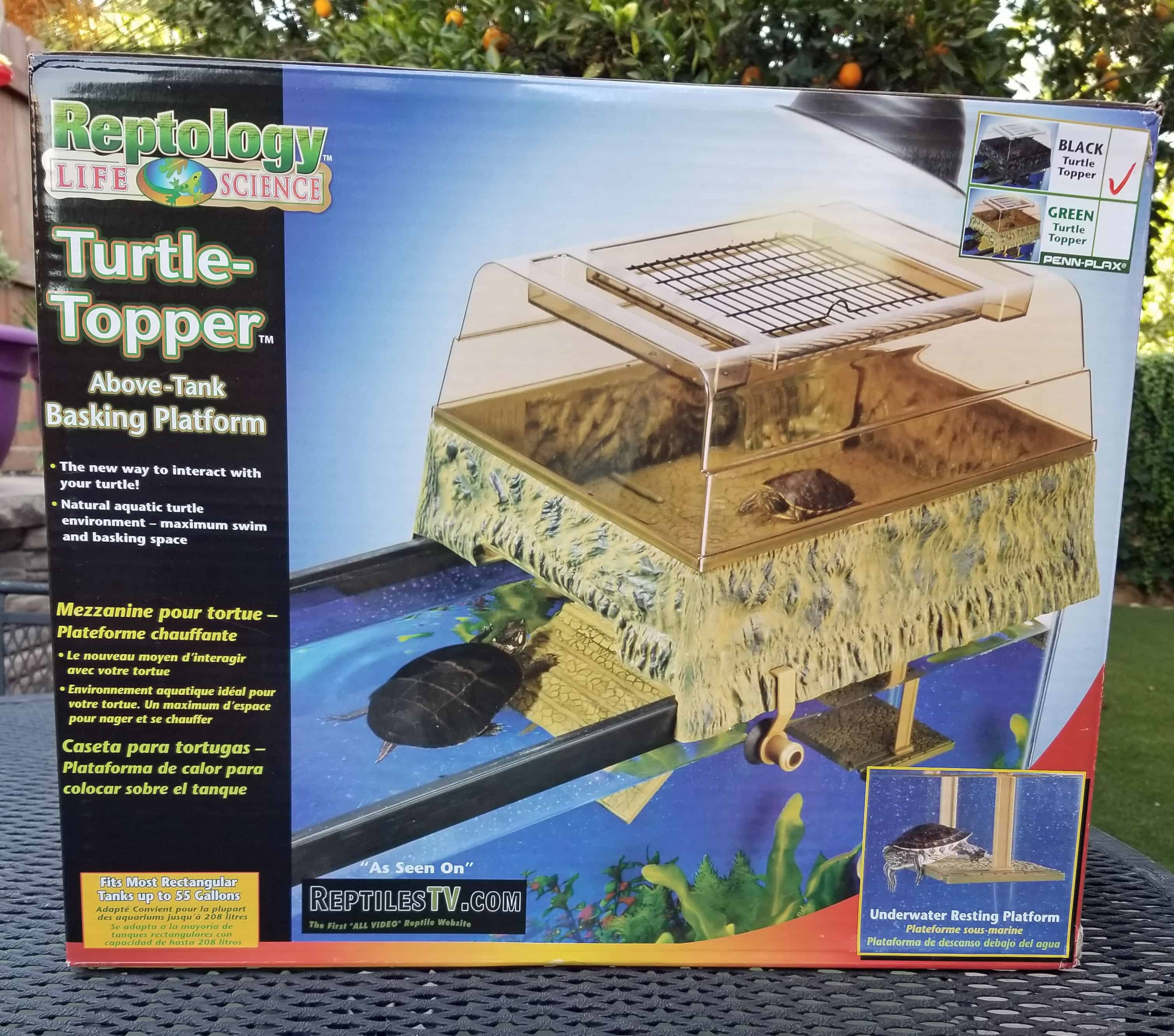 Yurtle the World’s Happiest Turtle & His Turtle Topper