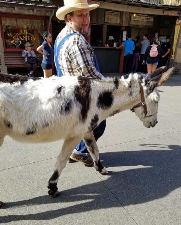 Knott's Berry Farm Ghost Town