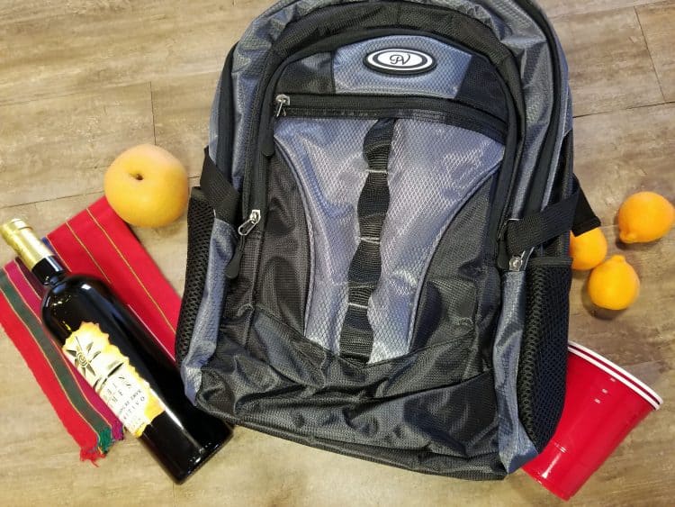 wine backpack