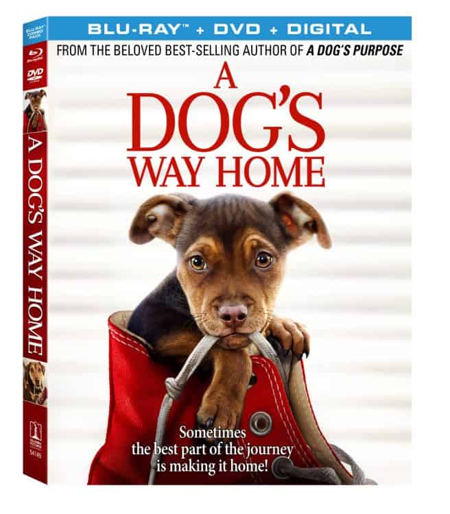 movie for dog lovers