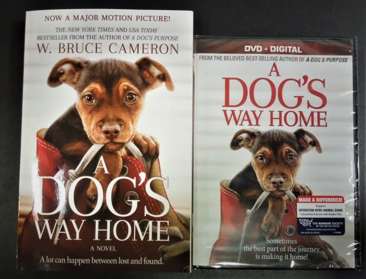 dog's way home book and movie giveaway