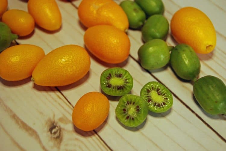 kumquats and kiwiberries