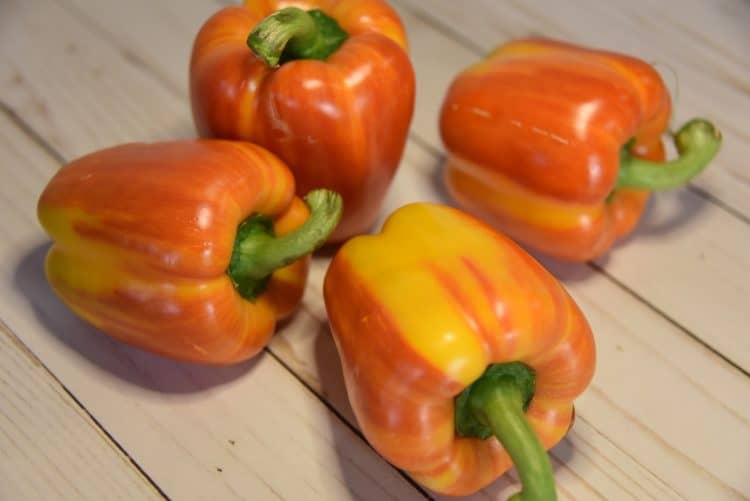 heirloom bell peppers