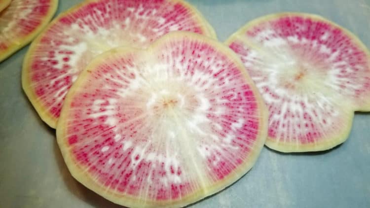 watermelon radish