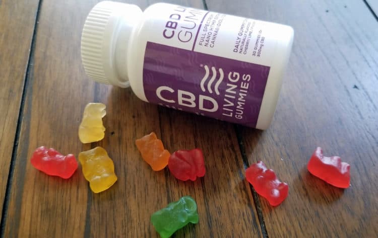 edible cbd products