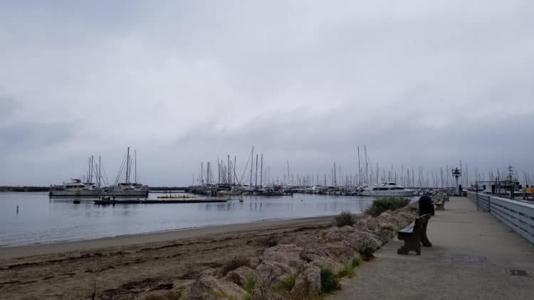 santa barbara harbor