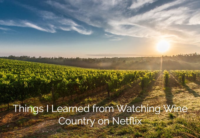 Things I Learned Watching Wine Country on Netflix