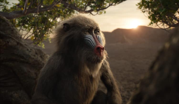 rafiki in lion king