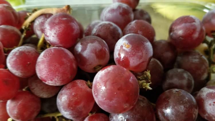 moscato grapes