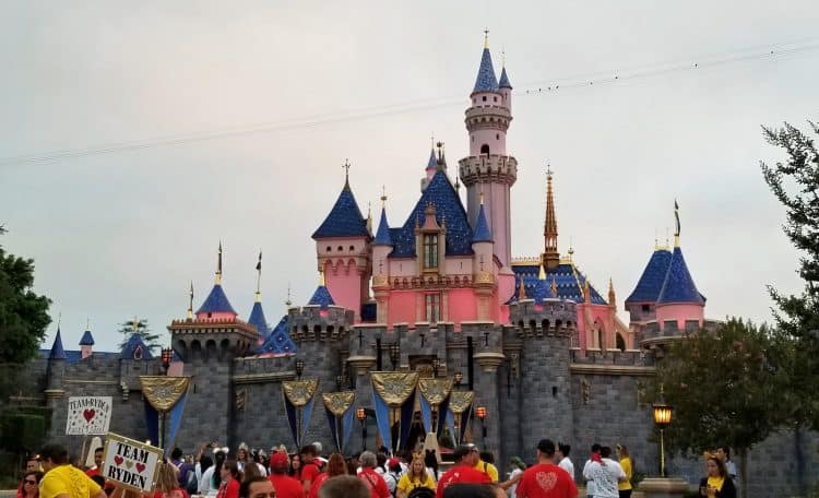 sleeping beauty's castle