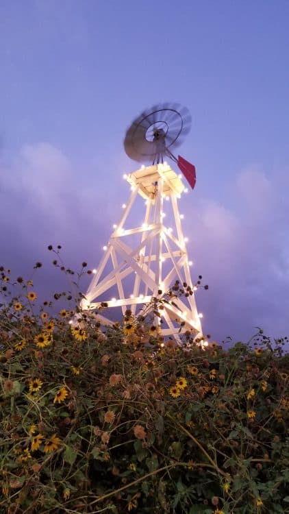 the farm at the fairplex