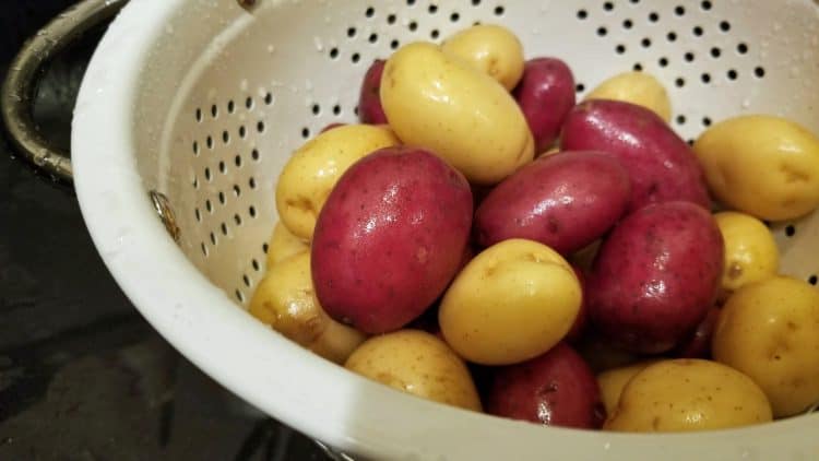mini hasselback potatoes