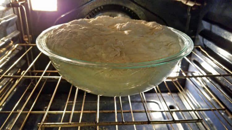 no knead bread dough recipe