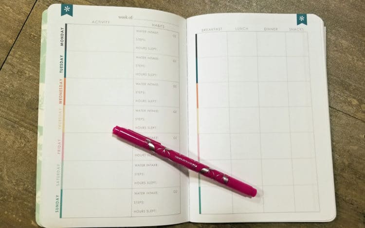 erin condren wellness journal bundle