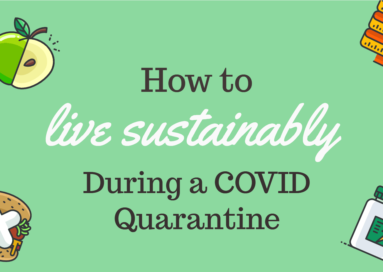 How to Live Sustainably During the COVID-19 Quarantine and Beyond