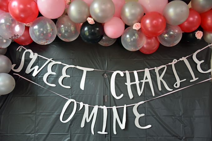 Custom Birthday Party Banner and T-Shirts with the Cricut Maker